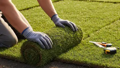 Professional landscaper installing fresh sod rolls with expert technique in Nashville, TN lawn